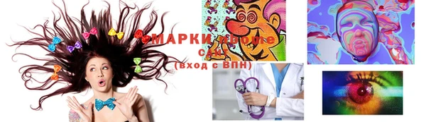 индика Аркадак