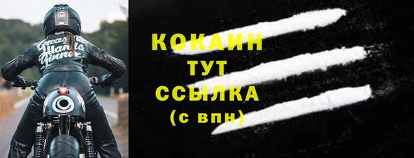 индика Аркадак