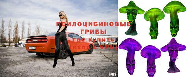 индика Аркадак