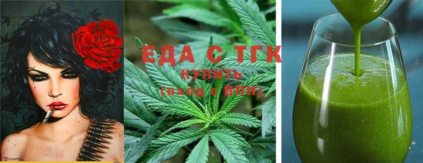 индика Аркадак