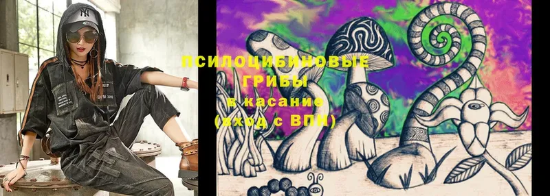 Галлюциногенные грибы Cubensis  Венёв 